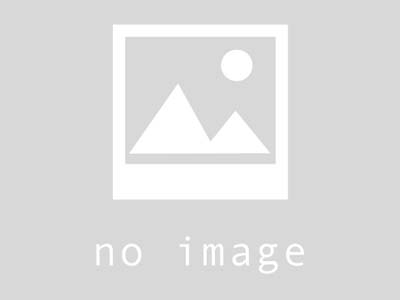 マネジメント事業